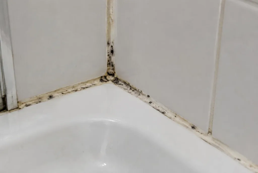 Kitbedrijf Almere – mouldy sealant